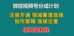 【蓝海】视频号创作者分成计划，薅平台收益，实力拆解保姆级教程-项目拓荒者
