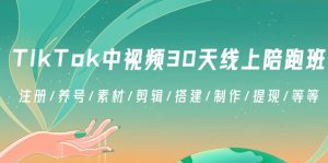 TikTok中视频保姆级教程，出海赚美金-项目拓荒者