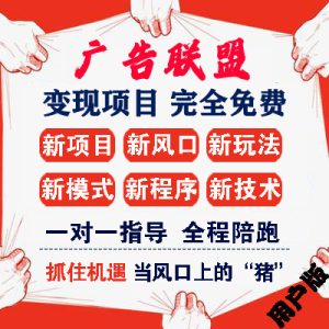 广告联盟手机掘金，免费白骠赚钱，单广几块钱一条，独立后台日结秒提现-项目拓荒者
