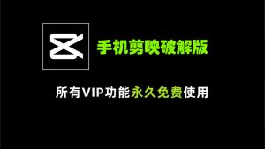 手机剪映VIP破解版-项目拓荒者
